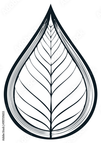 Abstract stylized leaf shape with intricate lines and elegant curves