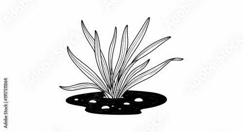 Black and white drawing of a plant growing out of dark liquid