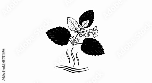 Black and white drawing of a plant with steam rising from its base