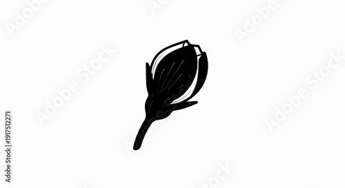 Black and white illustration of a single flower bud
