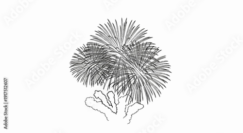 Black and white sketch of exploding fireworks from a white background