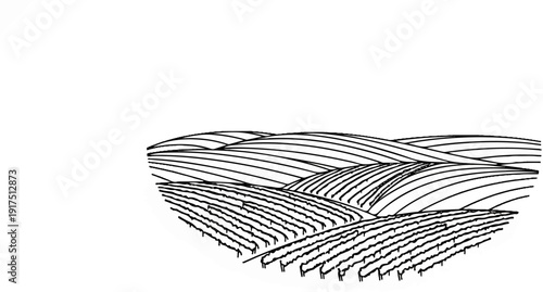 Black and white sketch of rolling hills covered in neatly planted rows of crops