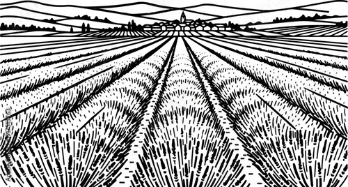 Black and white illustration of a vast field of crops leading to a distant village