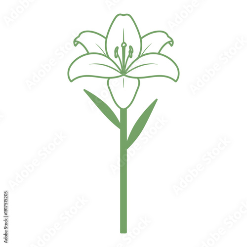 Elegant green outline icon of a beautiful lily flower on a slender stem with leaves, symbolizing purity and natural beauty.