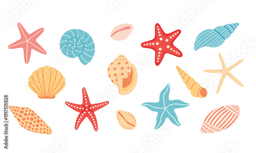 Colorful illustration of seashells and starfish on white background
