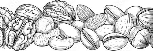 Hand-drawn vintage engraving illustration of various nuts including walnuts, almonds, pistachios, hazelnuts, and cashews for healthy food packaging and organic design.