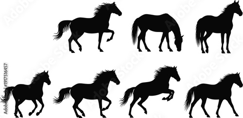 Horse silhouette collection in running, grazing and standing poses, black and white vector illustration set isolated on light background