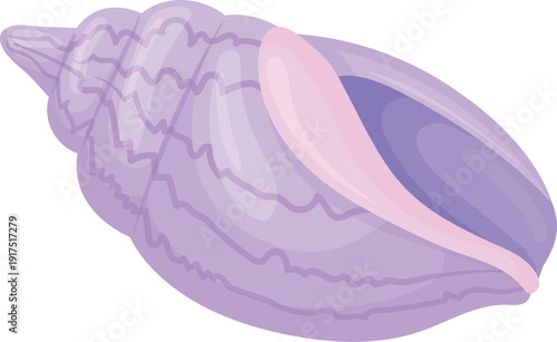 Nutmeg shell. Spiral beach conch cartoon icon