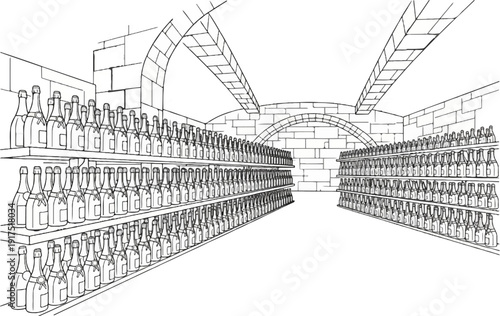 Drawing of many bottles of wine on shelves in a cellar