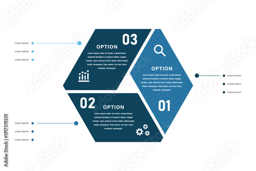 Circular hexagonal business infographic with three options and icons