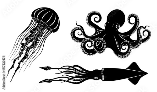 Marine life silhouettes jellyfish octopus squid vector set isolated on white
