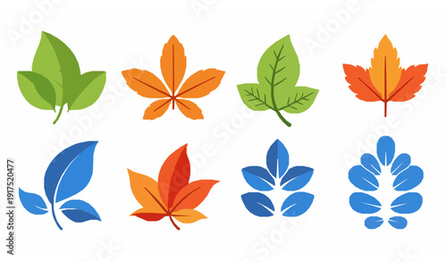 Colorful stylized leaf icons set seasonal nature foliage collection