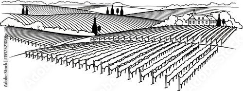 Expansive vineyard with a charming building and distant rolling hills