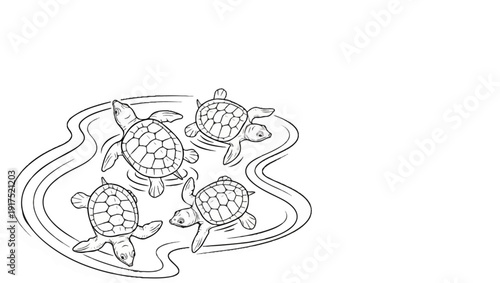 Four baby turtles swimming in rippling water