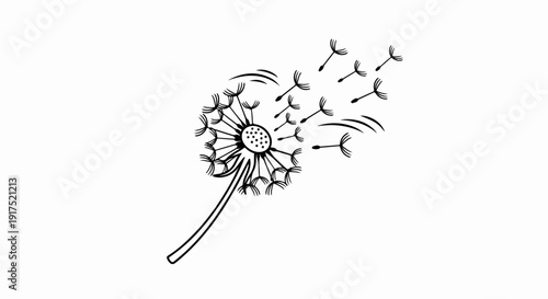 Line drawing of a dandelion with seeds blowing in the wind