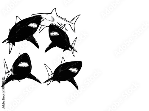 Four black sharks swim towards viewer, one white shark behind