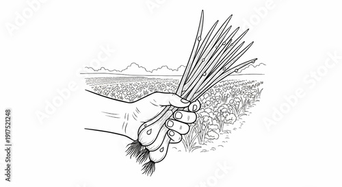 Hand holds freshly harvested spring onions in a field under clouds