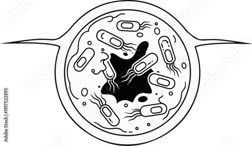 Microscopic view of rod-shaped bacteria with flagella in a petri dish