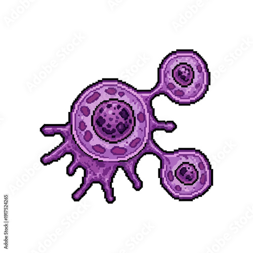 Purple amoeba-like organism with internal nuclei and pseudopods.
