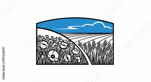 Field of poppies and wheat under a blue sky with clouds