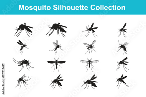 Mosquito Silhouette Collection – Detailed Flying Insect Vector Set Isolated on White Background