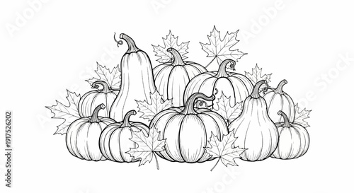 Hand-drawn illustration of assorted pumpkins and autumn leaves