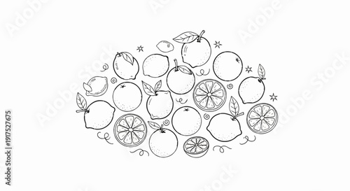 Hand-drawn sketch of various citrus fruits, including whole and sliced oranges and lemons