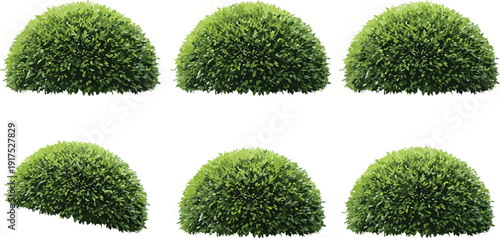Flat vector illustration of green hedge bushes, realistic garden shrub collection, decorative foliage landscaping elements, nature plant design set