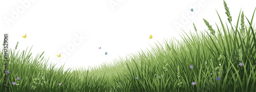 Green meadow grass landscape background, wild floral field with butterflies, natural spring nature scenery, flat vector illustration design