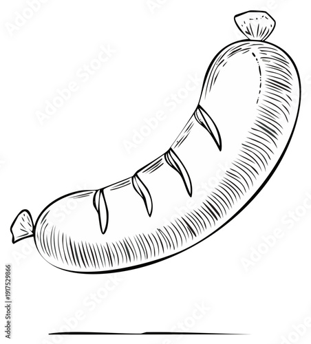 Hand-drawn Sausage Illustration with Marbling and Tied Ends