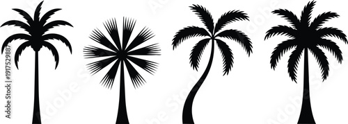 Black silhouettes of palm trees on white background, tropical plants, palm tree icons, tree silhouettes, tropical tree icons