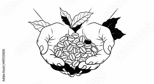 Hands cradling coffee beans and leaves
