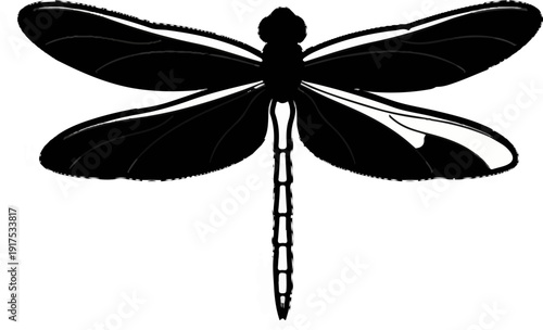 Graphic illustration of a black dragonfly with white wing accents