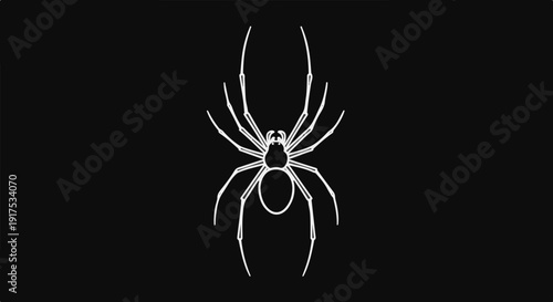 Minimalist white spider illustration on a stark black background