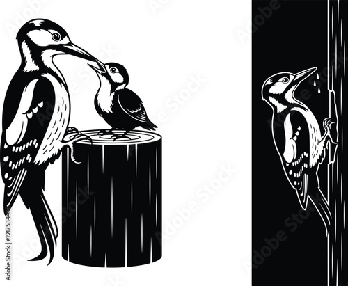 Black and White Woodpecker Illustration Set Featuring Adult Feeding Chick on Tree Stump and Bird Pecking Wood for Nature Design