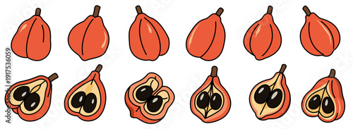 Colorful ackee fruit set showcases vibrant orange hues and unique shapes, highlighting beauty of nature design. Each fruit reveals its distinct inner structure, inviting curiosity and appreciation