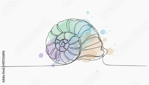 An elegant line drawing of a nautilus shell, with subtle watercolor accents, on a minimalist background