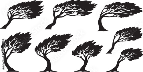Black Silhouettes of Trees in Various Windy Weather Conditions