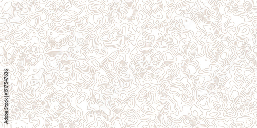 Brown topographic contour lines on white background texture pattern