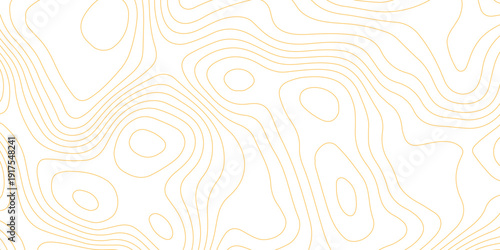 Topographic map background with geographic grid for hiking and mountain sport. luxury topographic wavy pattern and geographic grid map design. paper texture Imitation of a geographical map shades.