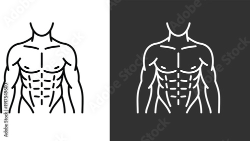Detailed anatomical illustration of human male torso showcasing muscular structure from front viewpoint in a simple line art style on contrasting backgrounds