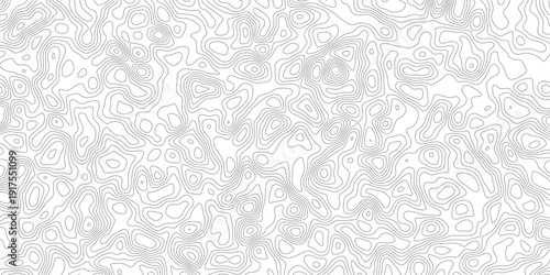 Gray topographic map lines on white background for design and texture