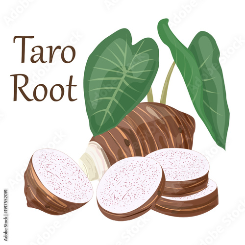 Taro Root. Tropical Vegetable.
