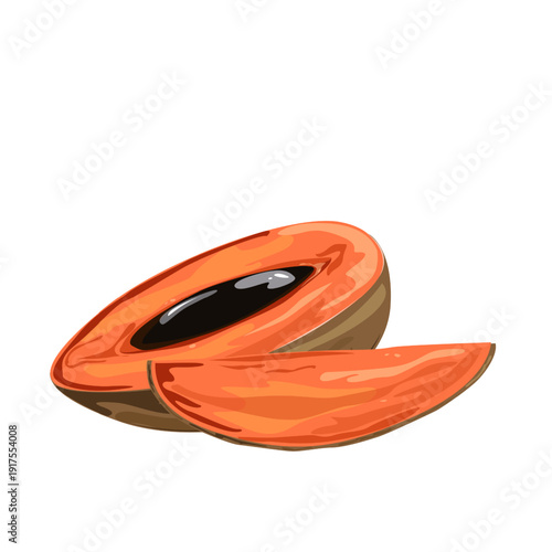 Mamey Sapote Tropical Fruit