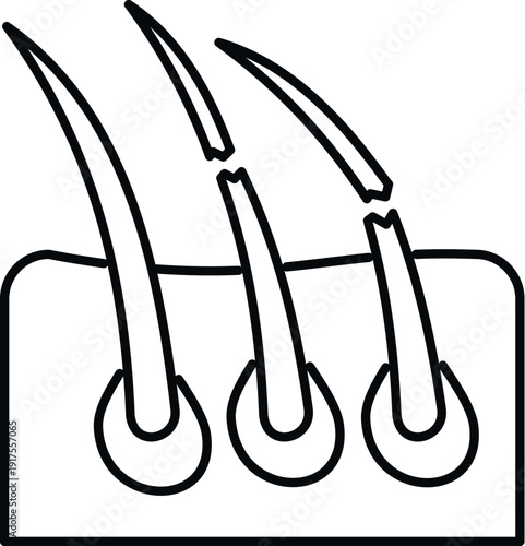 Hair follicles showing damaged structure, brittle and broken hair strands