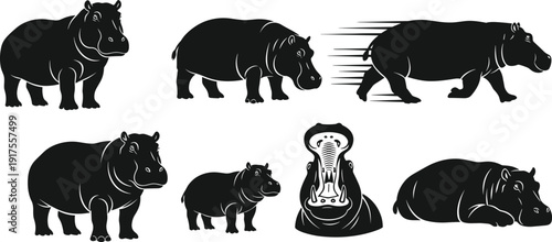 Hippopotamus silhouettes set, hippo walking standing running sleeping, front view, wildlife animal collection, black vector illustration isolated