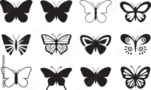butterfly morphology study silhouette vector templates