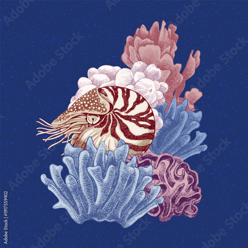 Hand drawn coral reef. Underwater life sketch