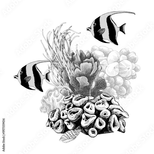 Coral reef sketched group with fishes