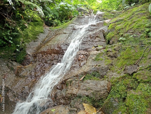 Fotografie Small Forest Waterfall Flowing Over Mossy Rocks